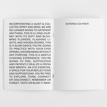 Load image into Gallery viewer, Scherza coi Fanti