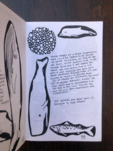 Load image into Gallery viewer, Mettanoia / Mental Health & Self Care Strategies