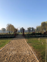 Load image into Gallery viewer, 29/05 SPRINGTIME TALES