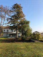 Load image into Gallery viewer, 29/05 SPRINGTIME TALES